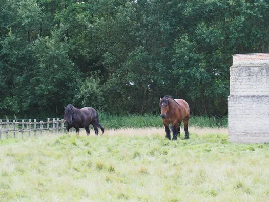 Openluchtmuseum Bokrijk (België)